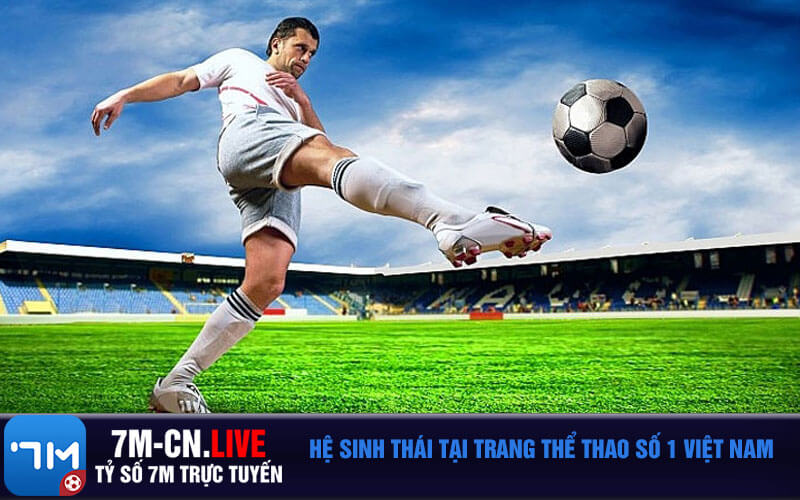 Hệ sinh thái tại trang thể thao số 1 Việt Nam